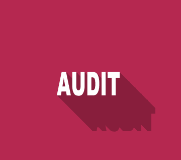 Audit par un consultant SEO