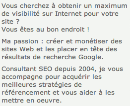 Conseil en SEO