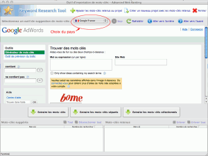 Importation de suggestions Google Adwords dans Advanced Web Ranking