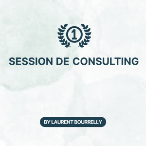Consulting IA